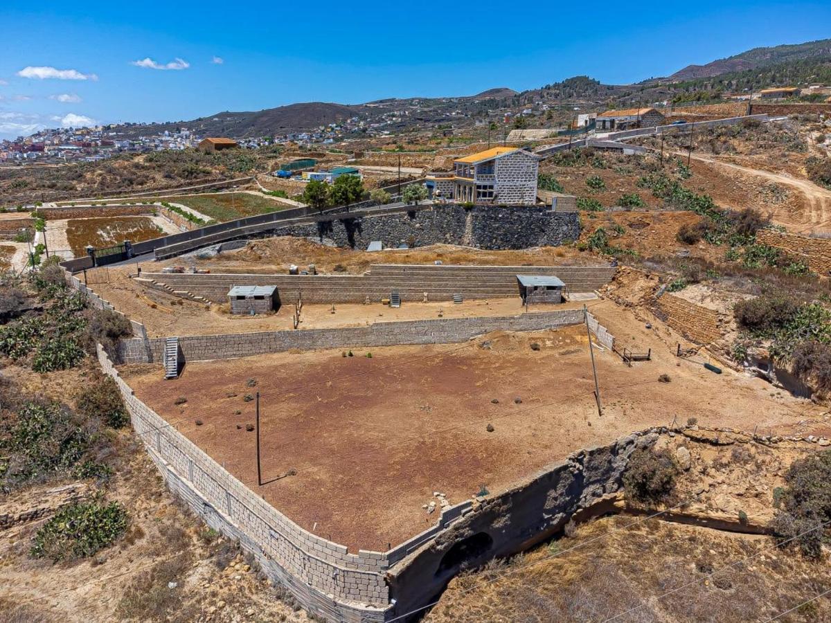 Finca Los Blanquitos Amazing With 3,000 M2 Of Land Granadilla De Abona Εξωτερικό φωτογραφία